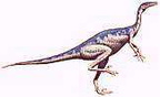dinosaura45