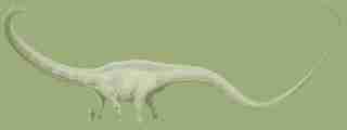 dinosaur-picture-Image1.jpg