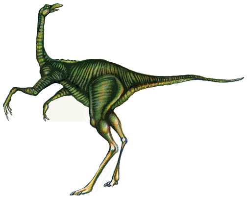 dinosaur-picture-Image35.jpg
