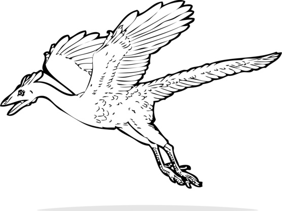 dinosaur-picture-archaeopteryx.jpg