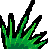 grass