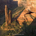 Pterodactyl over the Grand Canyon