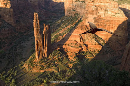Pterodactyl over the Grand Canyon