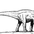 dinosaur21a
