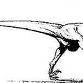 dinosaur22a