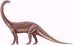 dinosaura60