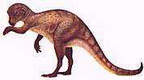 dinosaura23