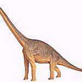 dinosaura62