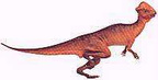 dinosaura50