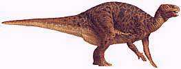 dinosaura18.jpg