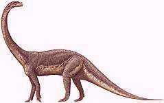 dinosaura60.jpg